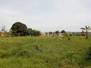 13decimals for Sale in Kira