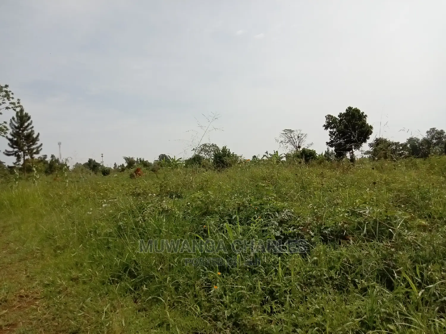 13decimals for Sale in Kira