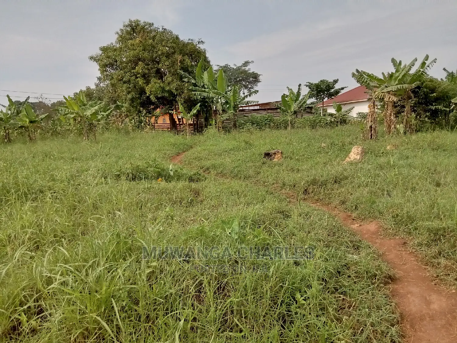13decimals for Sale in Kira