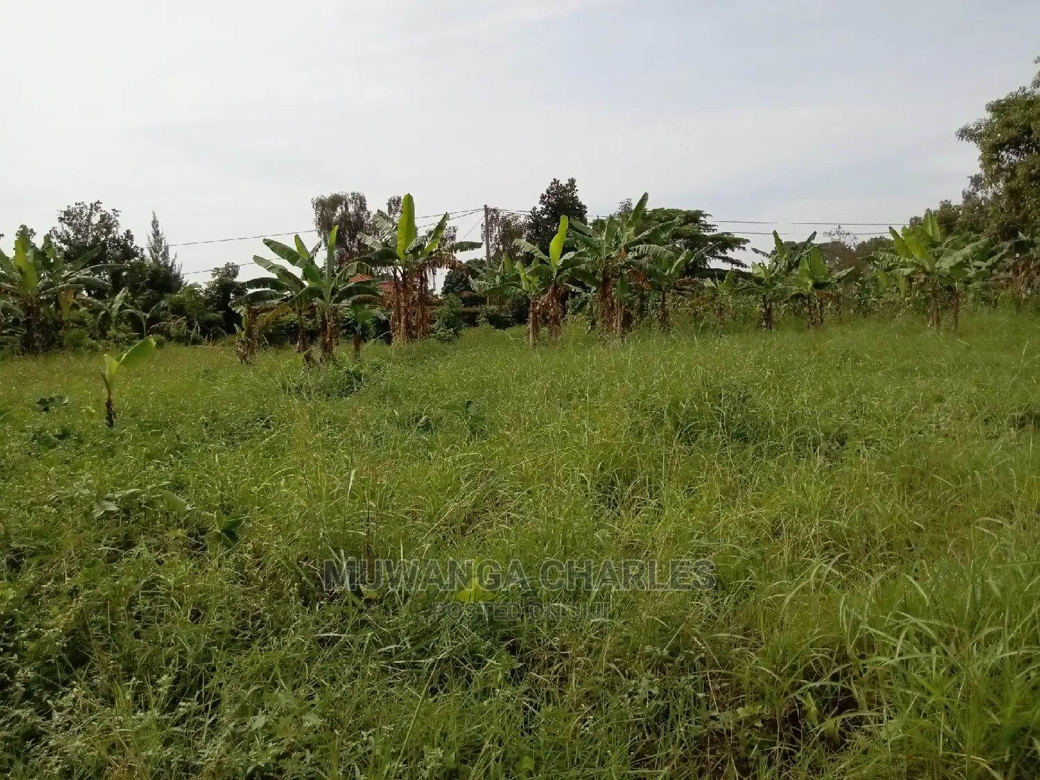 13decimals for Sale in Kira