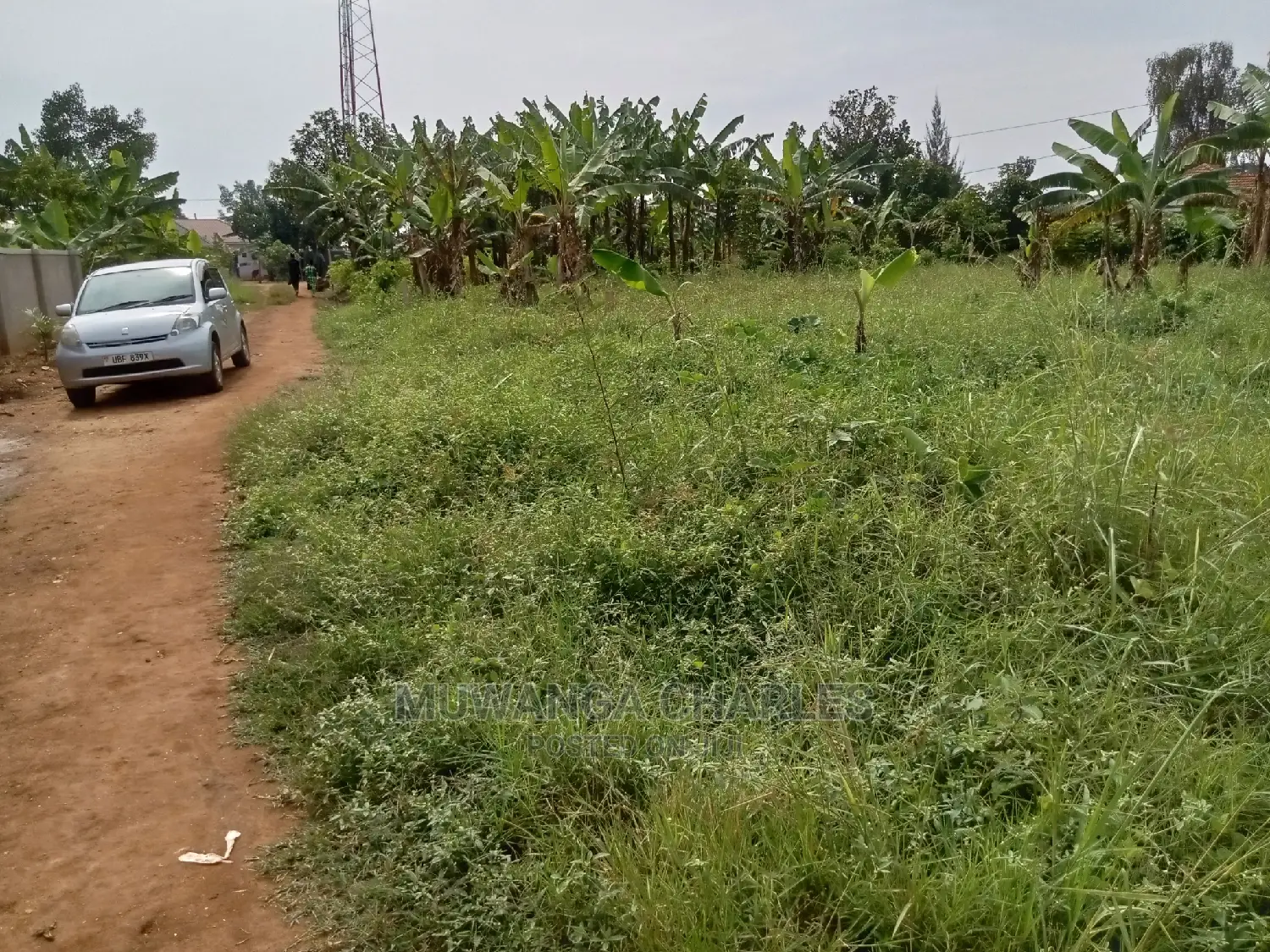 13decimals for Sale in Kira