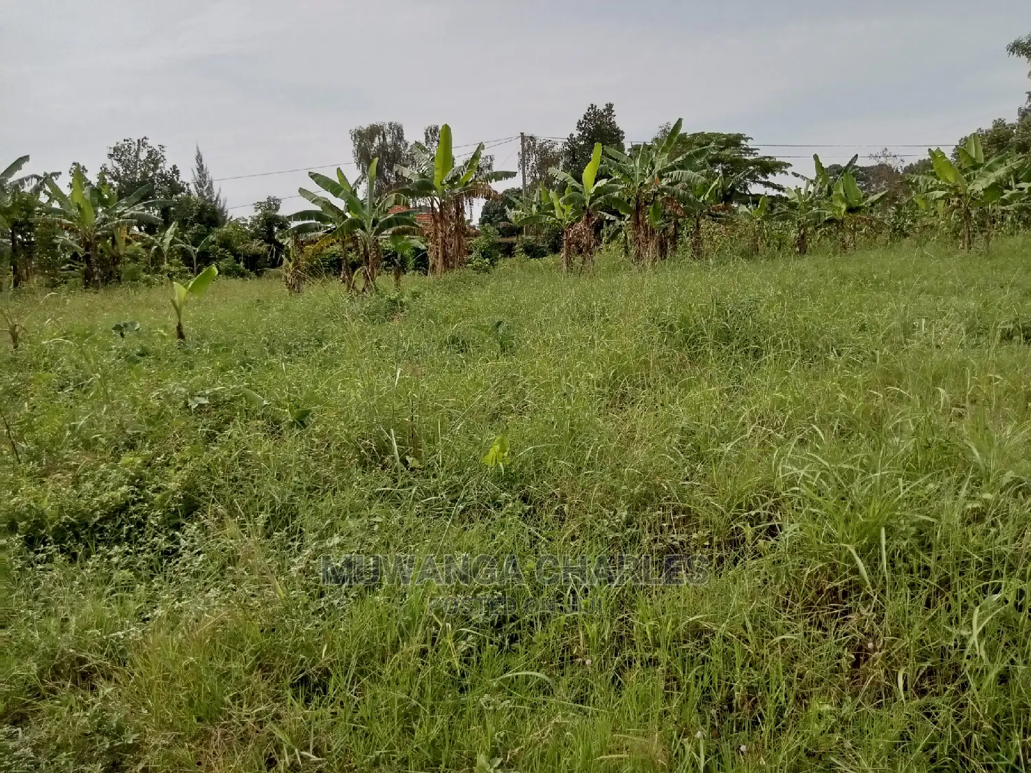 13decimals for Sale in Kira
