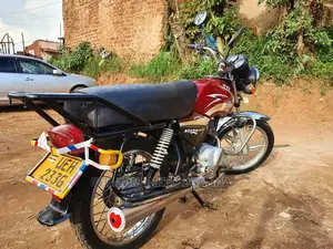 TVS Zeppelin 220 2017 Red