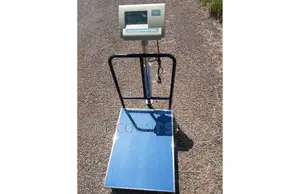 Heavy-duty Strong Platform Weighing Scales.