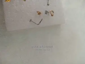Quality Nose Pins Available