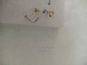 Quality Nose Pins Available