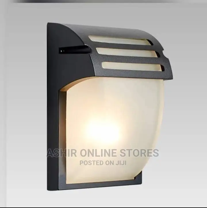 Wall Security Light