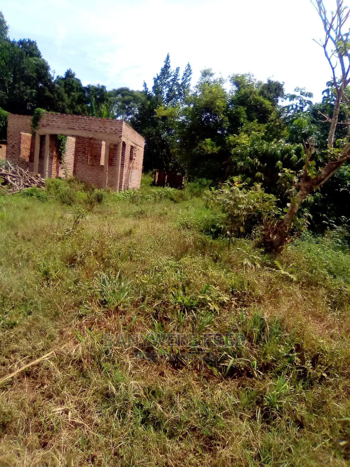 Half Acre of Land for at Kiyuga Kamuli