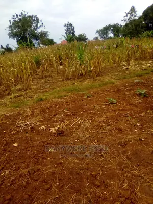 100x100ft Plot on Sale at Kasawoo Town Council
