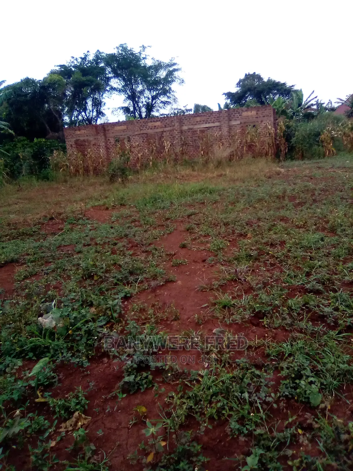 50x100ft Plot With Aready Title