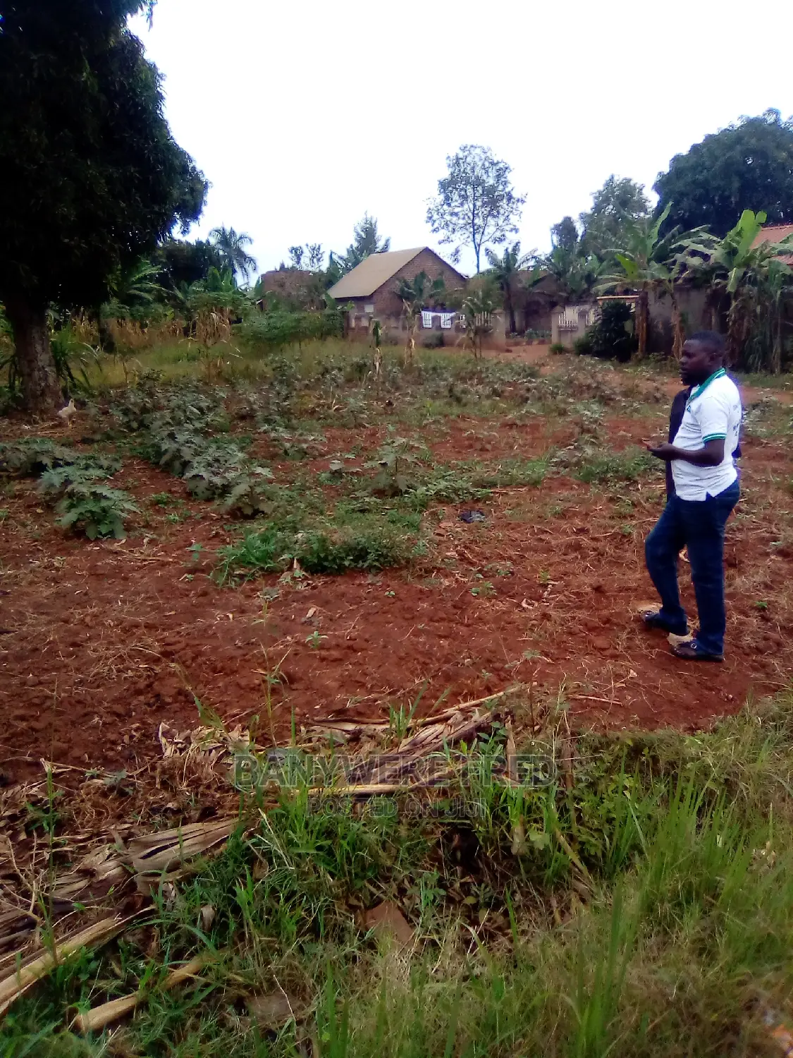 50x100ft Plot on Sale at Kayanjja Mukono