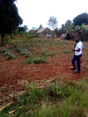 50x100ft Plot on Sale at Kayanjja Mukono