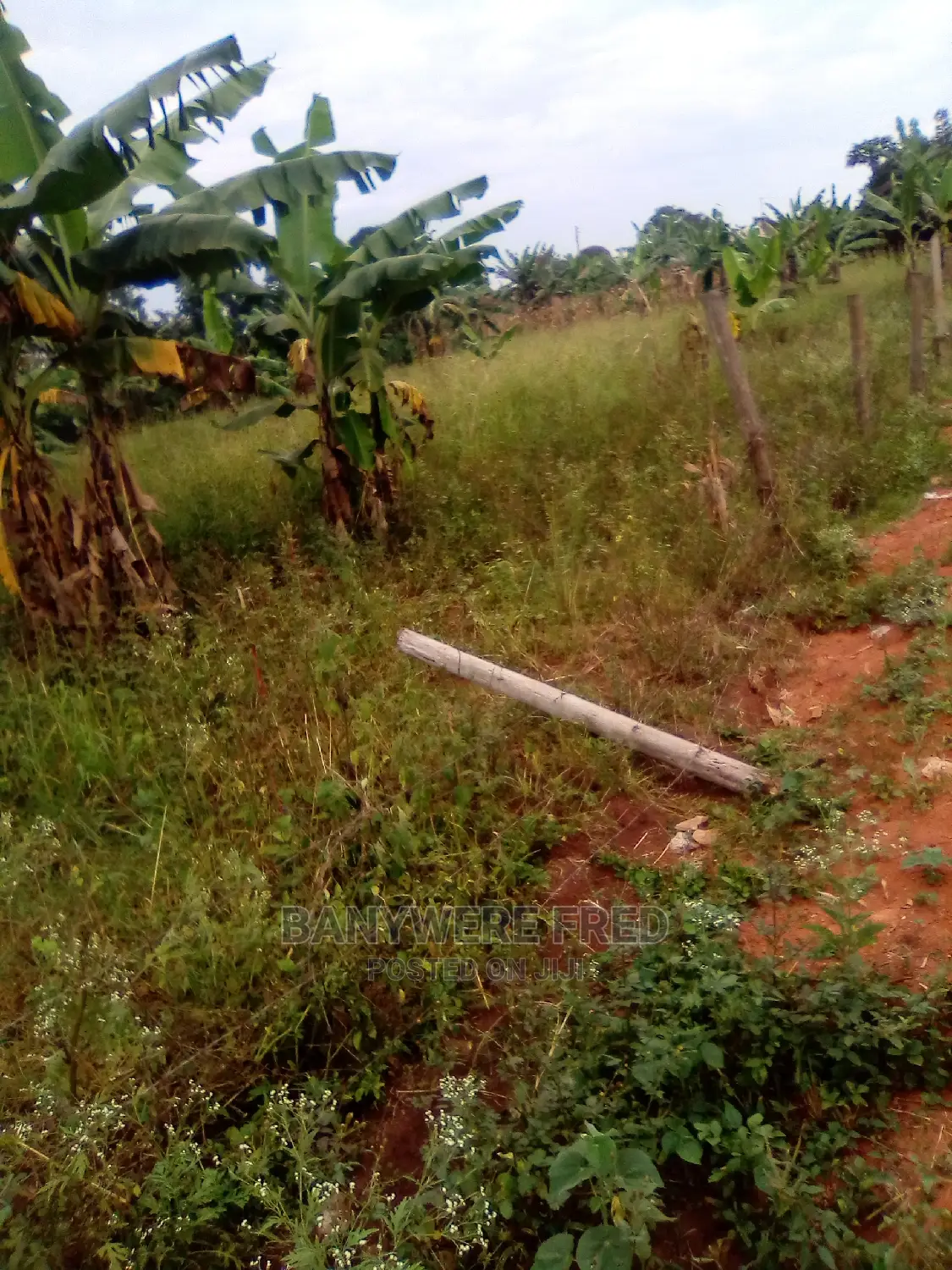 Farm Land 7acres at Nakaseke Town