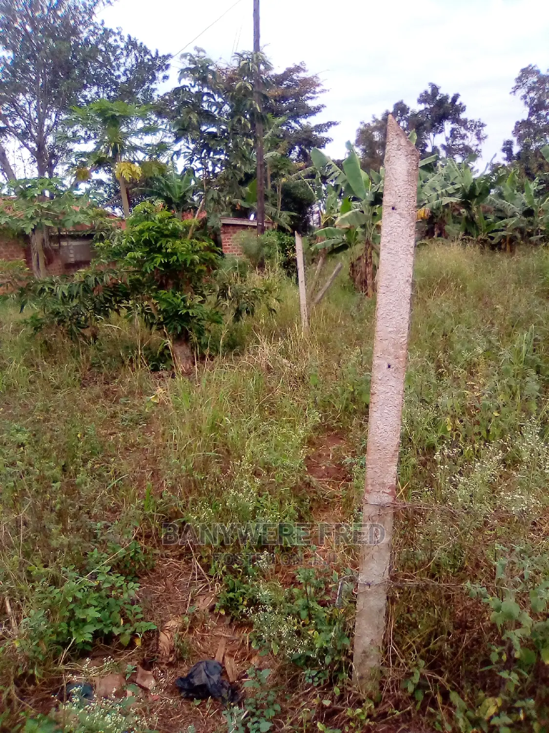 Farm Land 7acres at Nakaseke Town