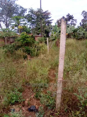 Farm Land 7acres at Nakaseke Town