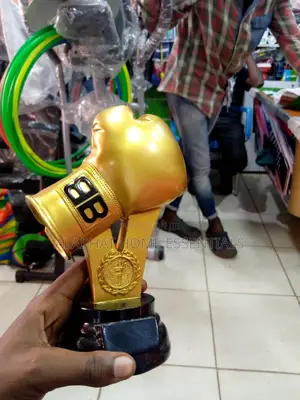 Boxing Golden Gloove