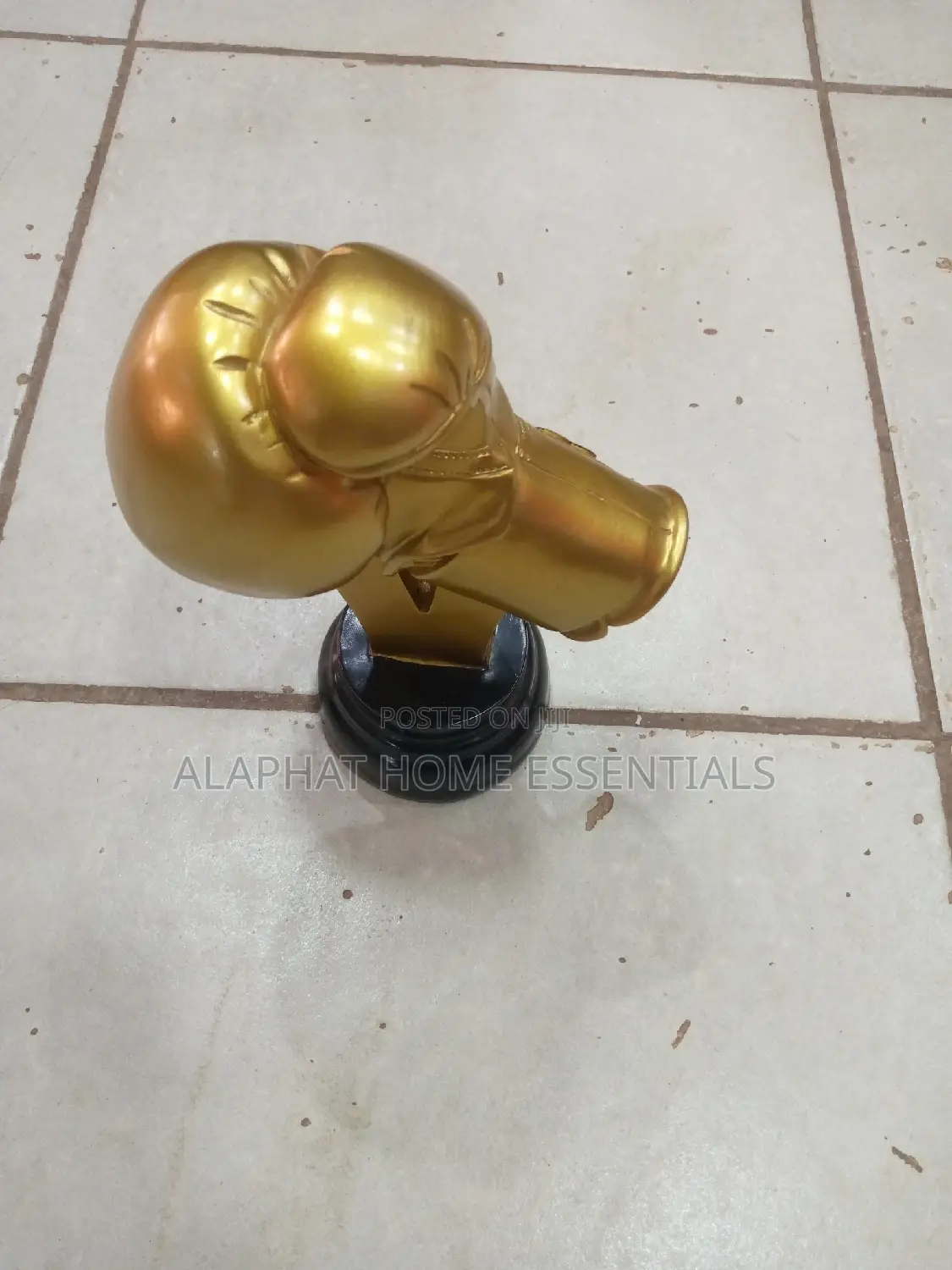 Boxing Golden Gloove