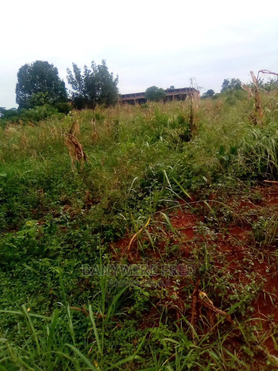 50/100 Plot for Sale in Nakagere