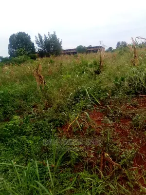 50/100 Plot for Sale in Nakagere
