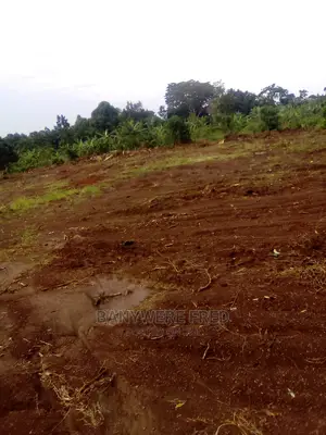 50/100 Plot for Sale in Kagala Tranding Centre