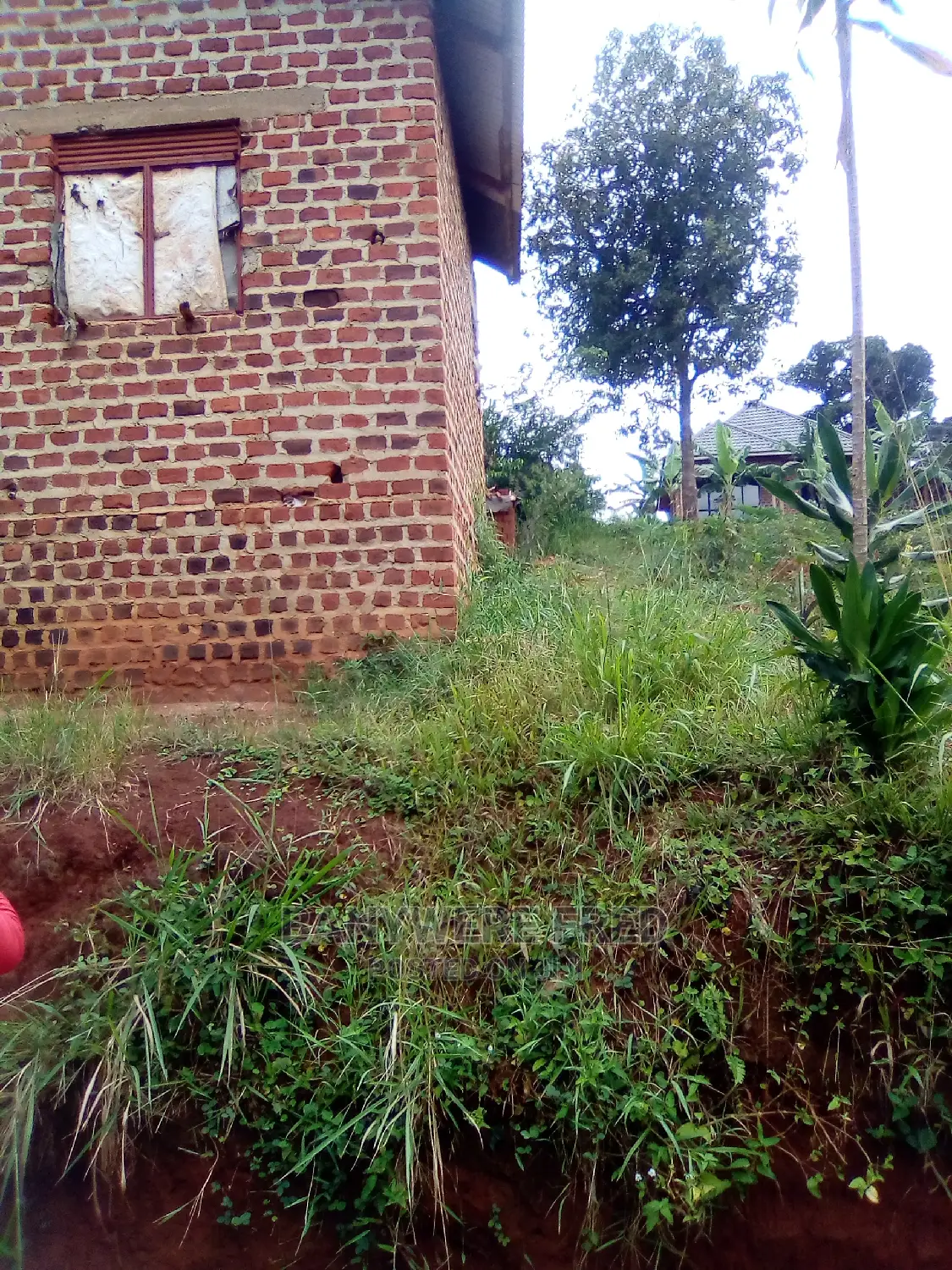 50/100 Plot for Sale in Sonde Mukyikulu