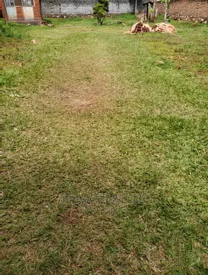 Land for Lease, Kiwafu - Uringi Crescent, Entebbe.
