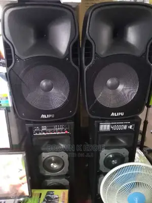 Public Double Amplified Speakers