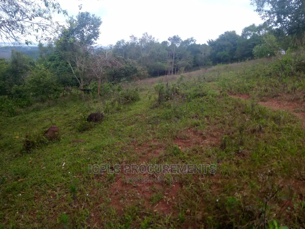 Kibaale 16 Square Miles (Mailo Land)