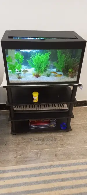Photo - Portable Aquarium and Cheaper