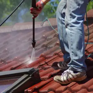 Roof Tile Cleaning Services/ Roof Cleaners