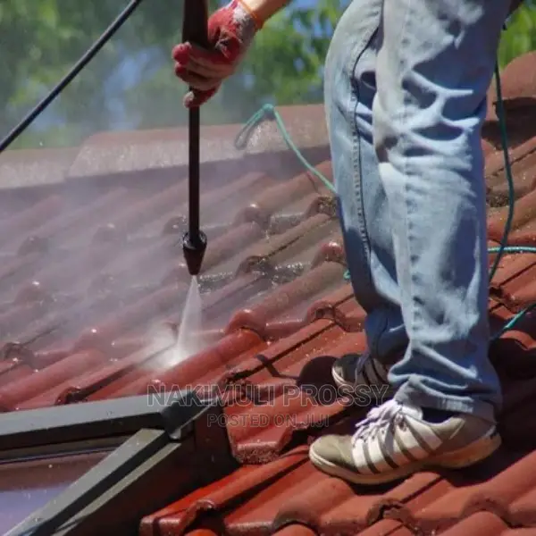 Roof Tile Cleaning Services/ Roof Cleaners