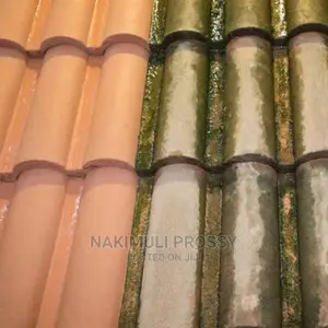Roof Tile Cleaning Services/ Roof Cleaners