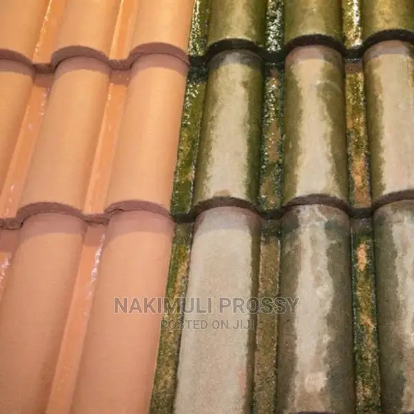 Roof Tile Cleaning Services/ Roof Cleaners