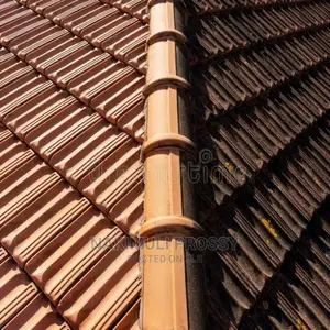 Roof Tile Cleaning Services/ Roof Cleaners