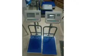 A12 Leading Platform Weighing Equipment