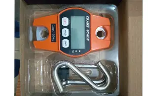 Simple Operating Mini Crane Weighing Scales.