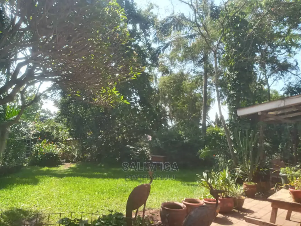 5bdrm Duplex in Kololo Property, Central Division for Rent