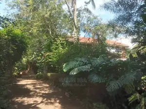 5bdrm Duplex in Kololo Property, Central Division for Rent