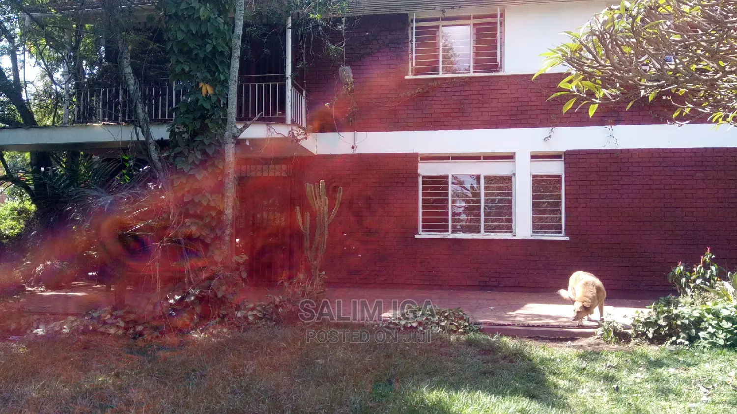 5bdrm Duplex in Kololo Property, Central Division for Rent