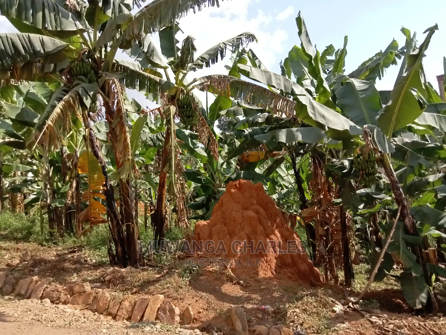 Plot for Sale in Kyanja Kungu