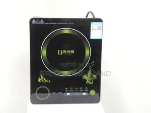 Induction Cooker (Electric Yodbit)