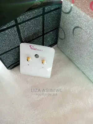 Simple and Unique Lady Ear Pins Available