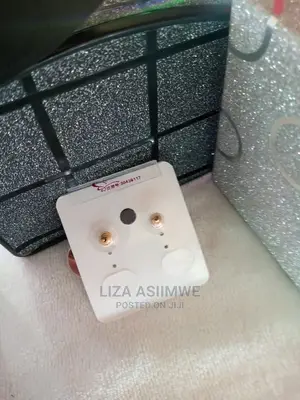 Unique and Quality Lady Ear Pins Available