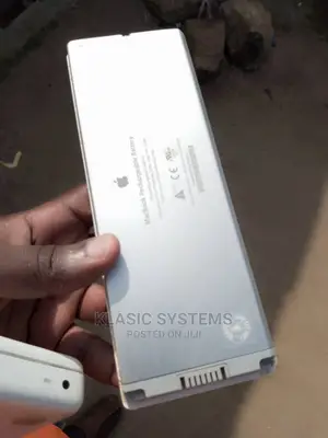 Photo - Original Apple Batteries