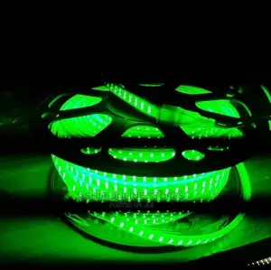 LED Strip Llight for Green