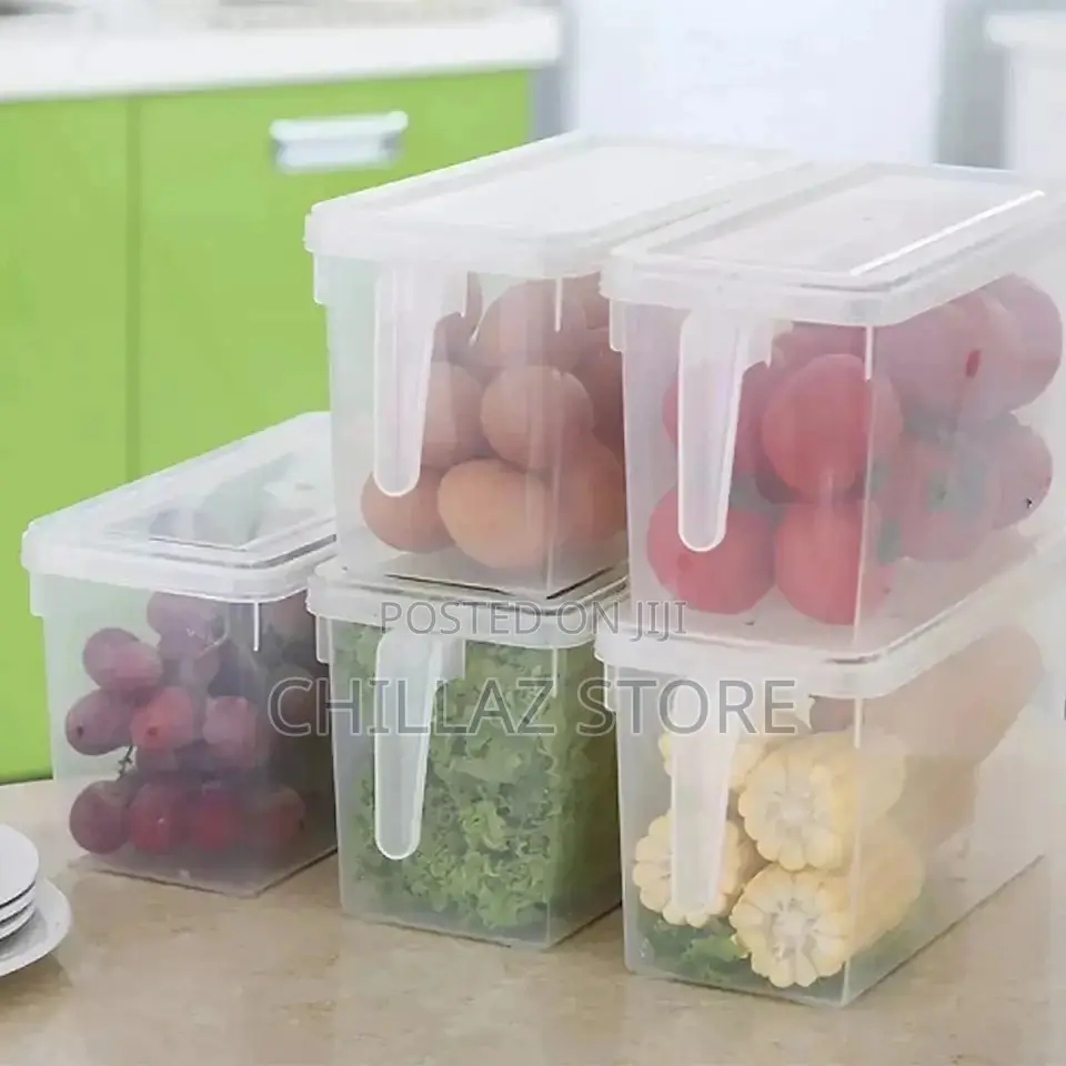 Fridge Storage Container