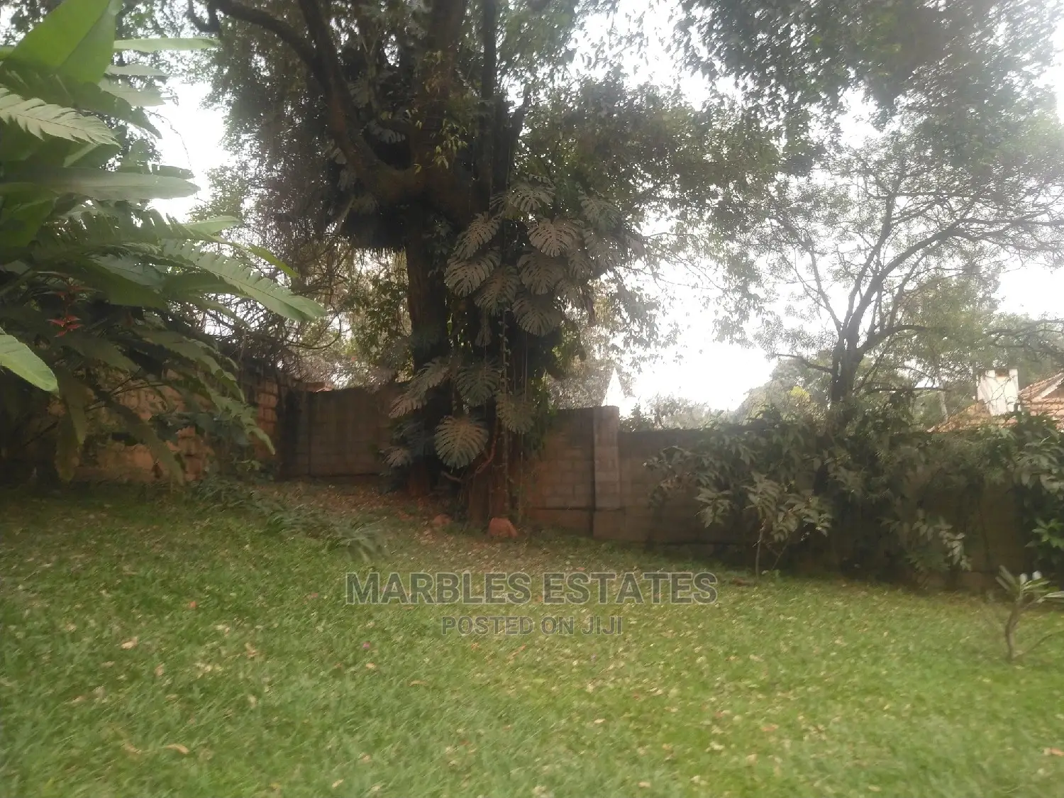 4bdrm Bungalow in Kololo, Central Division for Rent