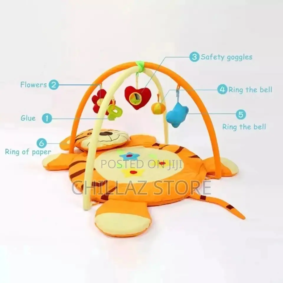 Baby Play Gym