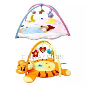 Baby Play Gym