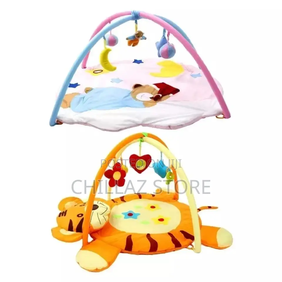 Baby Play Gym